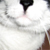 :iconhiehiu: