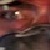 :iconhieraco: