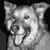 :iconhigesblue: