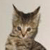 :iconhighlandercleric: