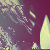 :iconhighsound:
