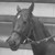 highstepper5674 :iconhighstepper5674: