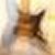 :iconhighvalor: