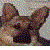 :iconhighway101: