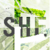 :iconhikari110495: