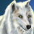 :iconhikari483:
