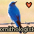 :iconhikarifae: