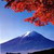 :iconhikaru068: