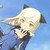 :iconhikaruonline: