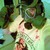:iconhikenoace: