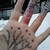 :iconhiky-li: