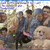 :iconhilaryswift13: