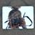 :iconhilarywinter: