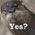 :iconhiliotrope: