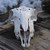 :iconhillisjr: