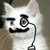 :iconhiltshell: