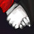 :iconhime-yamaneko:
