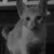 :iconhime0neko: