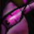 :iconhimesatou: