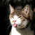 :iconhimetategami: