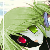 :iconhimizuxmakoto: