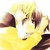 :iconhina-no-sakura: