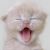 :iconhinagiku-of-love: