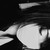:iconhinamawari: