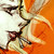 :iconhinaoki:
