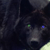 :iconhinata-uchiha2468: