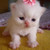 :iconhinatinha-chan: