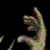 :iconhinatyraia: