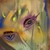 :iconhindutimes2: