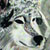 :iconhineko-l: