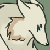 :iconHinomi: