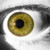 :iconhintenrum: