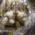 :iconhintond: