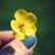 :iconhinxight: