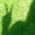 :iconhippie-child: