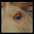 :iconhippiefreak40: