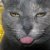 :iconhippiewitch6: