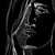 :iconhippocritical-chris: