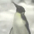 :iconhippodameia: