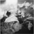 :iconhippogfx: