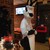 :iconhippyhare: