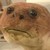 :iconhippymoose: