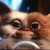 :iconhippyplay11: