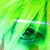 :iconHiro-Q:
