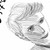 :iconhironoshi: