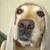 :iconhirotoshii: